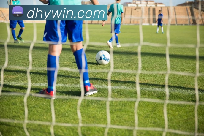 大红鹰官网发展历程